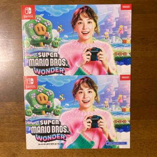 ニンテンドースイッチ(Nintendo Switch)の新垣結衣 NINTENDO SWITCH 広告冊子 ２冊 未使用(女性タレント)