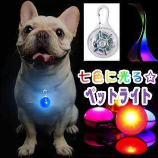  犬 ライト 首輪 リード 子ども ペット LED ライト 散歩 ブルー(その他)