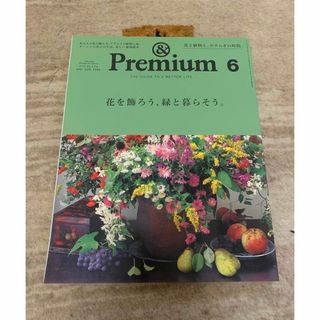 &Premium (アンド プレミアム) 2021年 06月号 [雑誌](住まい/暮らし/子育て)