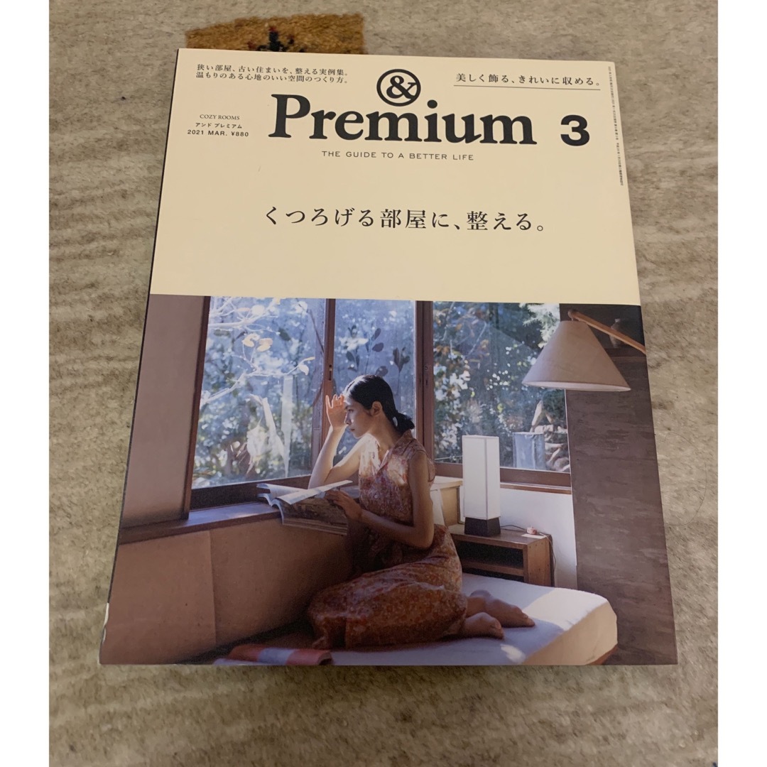 &Premium (アンド プレミアム) 2021年 03月号 [雑誌] エンタメ/ホビーの本(住まい/暮らし/子育て)の商品写真