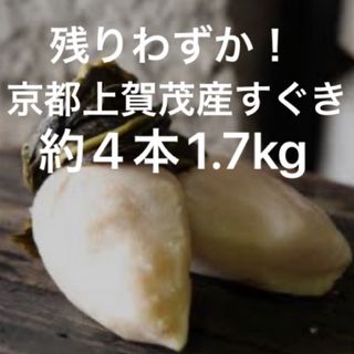 残りわずか！京都上賀茂産すぐき大サイズ3〜4本1.7kgご進物にも(漬物)