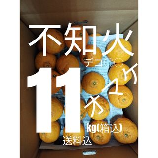 送料込み！不知火 11kg超大きさMIX訳有(フルーツ)