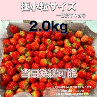 極小粒サイズ（一部訳あり含む）約2.0kg　紅ほっぺ　いちご 🍓(フルーツ)