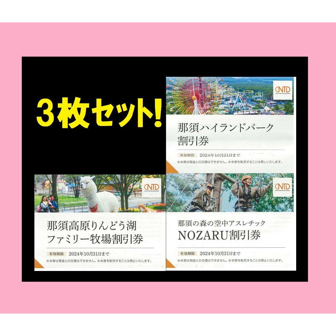 ◆3枚 那須ハイランドパーク 那須高原りんどう湖ファミリー牧場　割引券 チケットの施設利用券(遊園地/テーマパーク)の商品写真