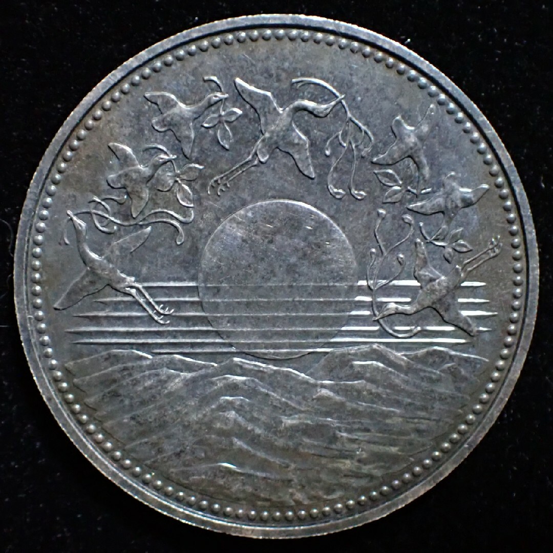 1万円銀貨 記念硬貨 エンタメ/ホビーの美術品/アンティーク(貨幣)の商品写真