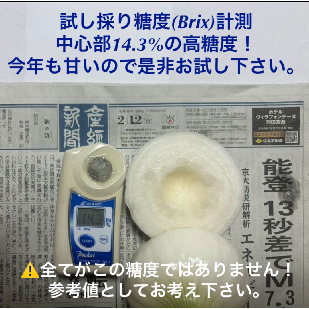 ＜訳あり＞淡路島産新玉ねぎ5kg 高糖度 新玉葱 新たまねぎ  食品/飲料/酒の食品(野菜)の商品写真