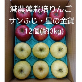 減農薬栽培りんご　サンふじ・星の金貨約3kg(フルーツ)