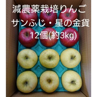 減農薬栽培りんご　サンふじ・星の金貨約3kg(フルーツ)