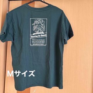 ハニーズ　半袖Tシャツ　プーさん　ディズニー