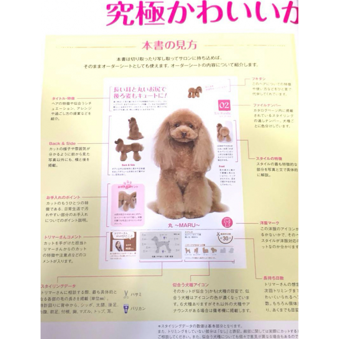 ❤️ Dogヘア&スタイル いま旬100+1☆お悩み解消、究極かわいい❣️ エンタメ/ホビーの本(ファッション/美容)の商品写真