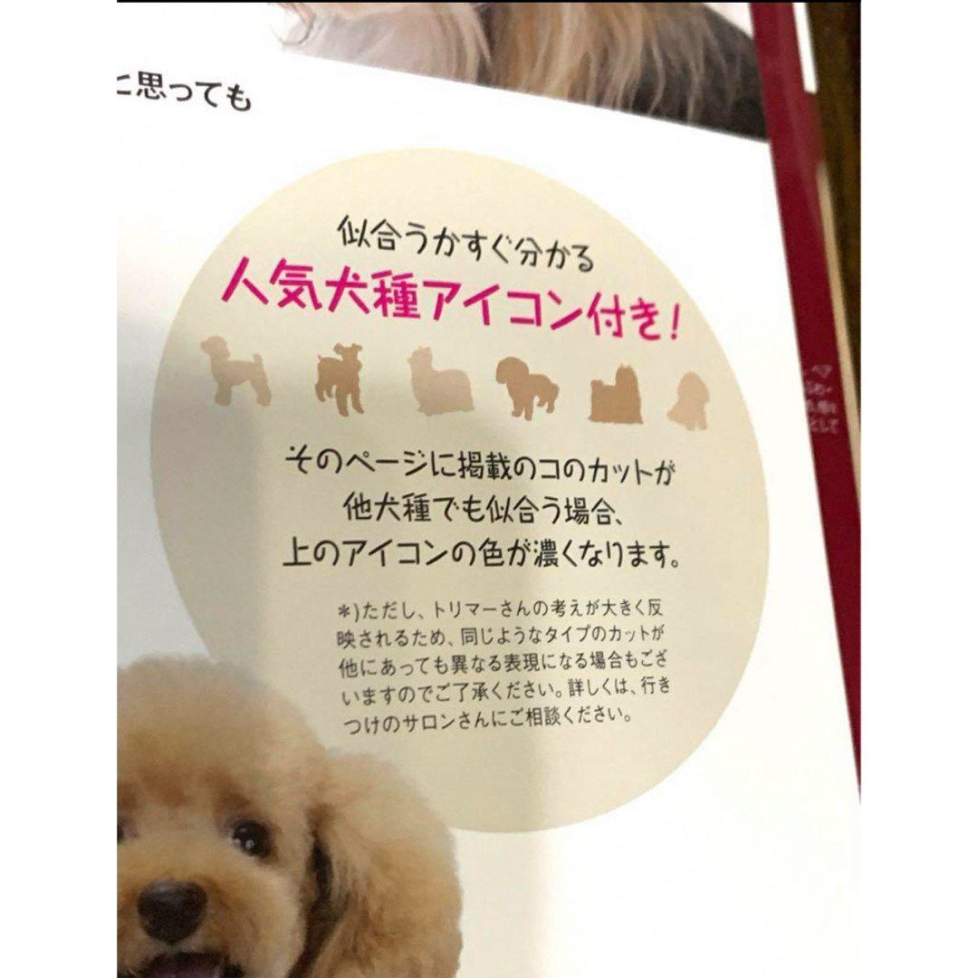 ❤️ Dogヘア&スタイル いま旬100+1☆お悩み解消、究極かわいい❣️ エンタメ/ホビーの本(ファッション/美容)の商品写真