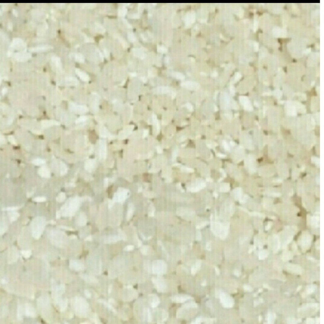 お米5kg 食品/飲料/酒の食品(米/穀物)の商品写真