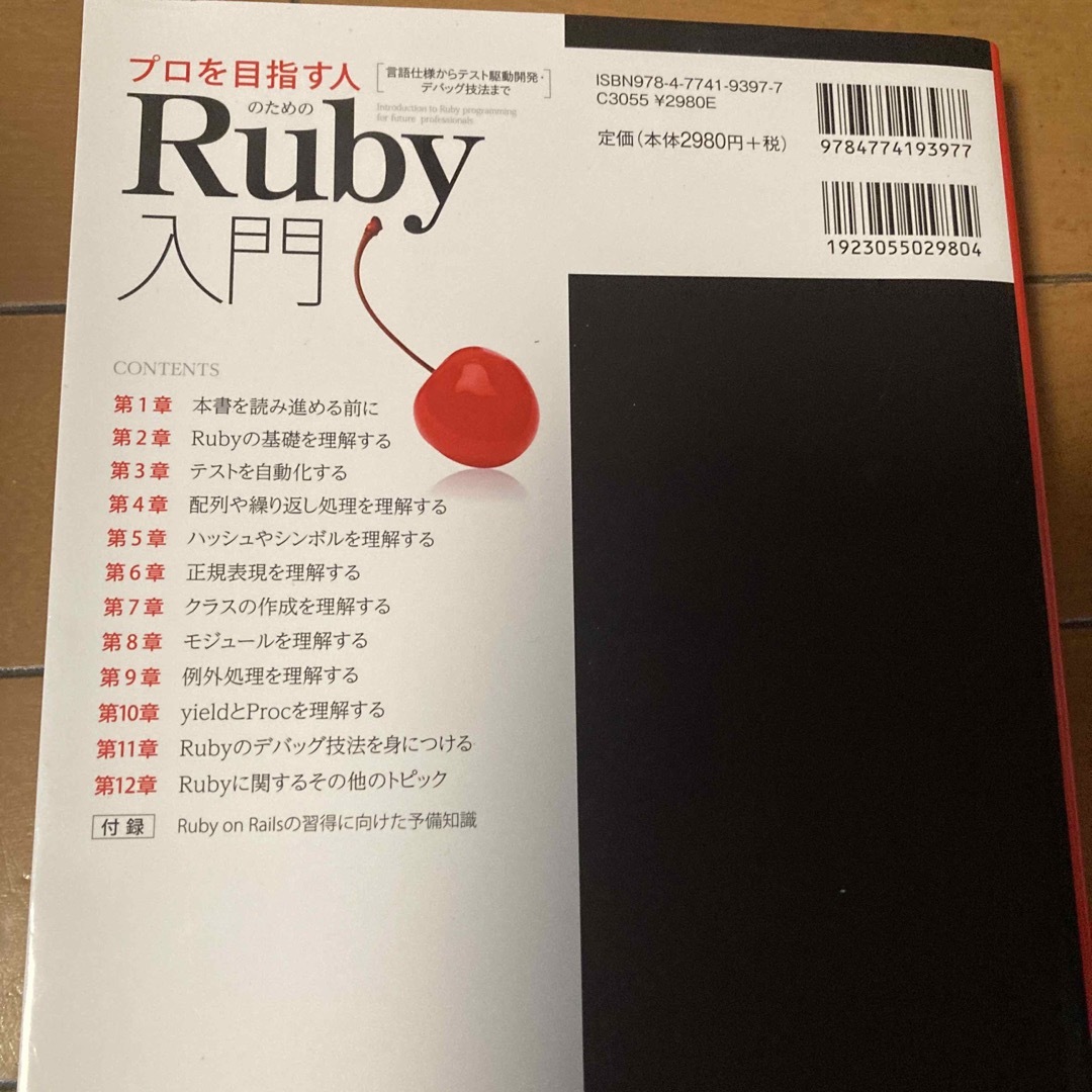 プロを目指す人のためのＲｕｂｙ入門 エンタメ/ホビーの本(コンピュータ/IT)の商品写真