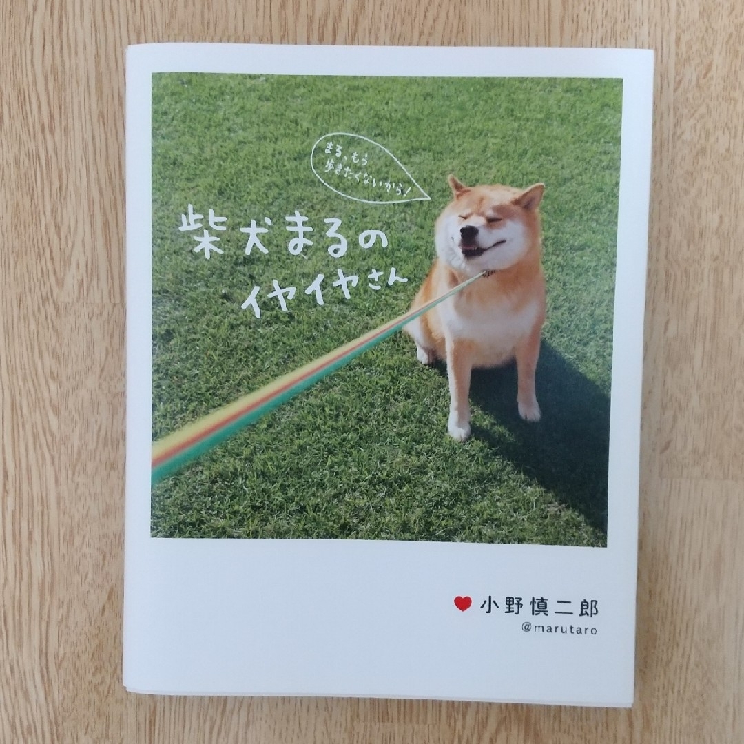 柴犬まるのイヤイヤさん エンタメ/ホビーの本(趣味/スポーツ/実用)の商品写真