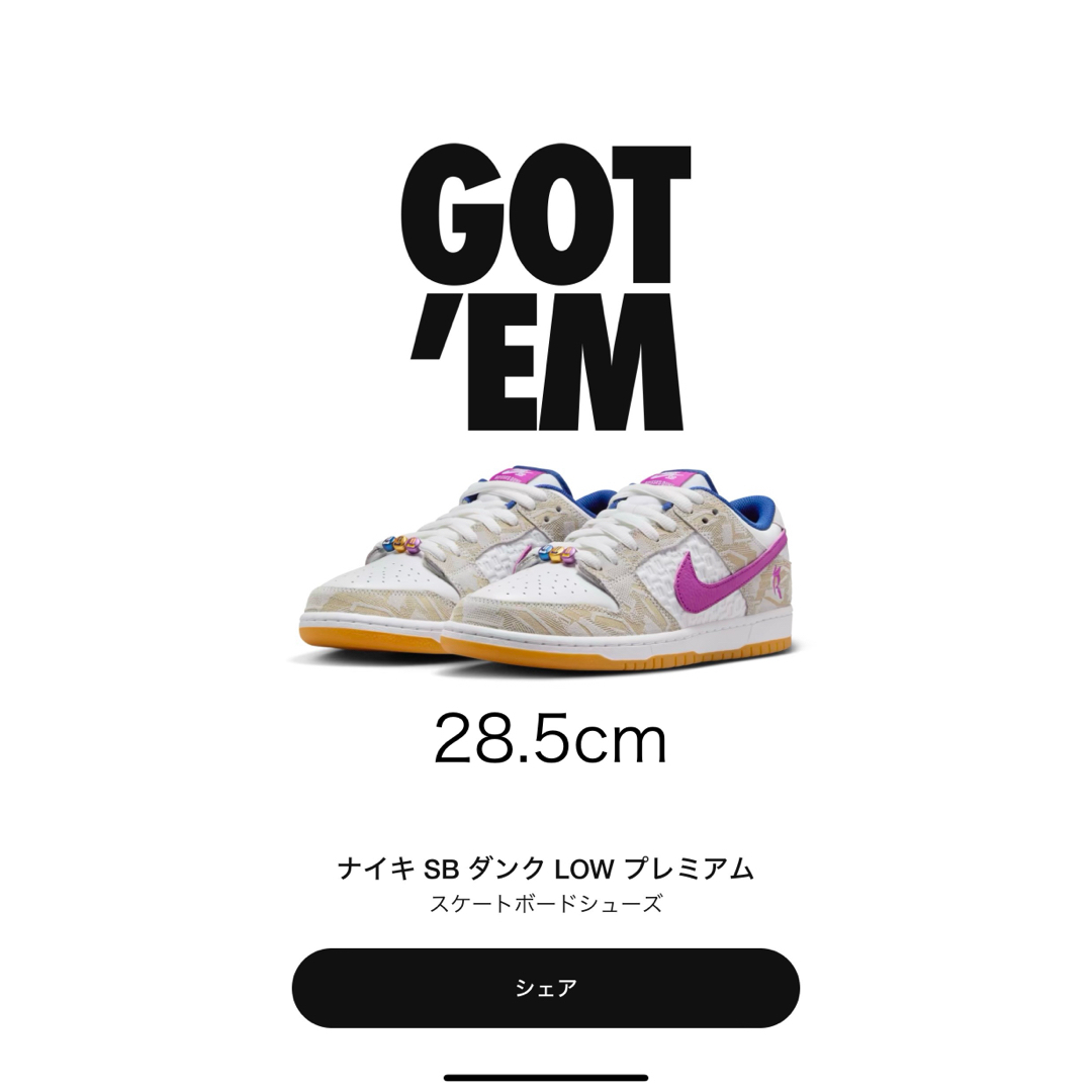 NIKE(ナイキ)のRayssa Leal × Nike SB Dunk Low Pro PRM メンズの靴/シューズ(スニーカー)の商品写真