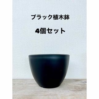 新品　ブラック植木鉢　4個セット　Agave グラキリス(プランター)