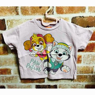 パウパトロール(パウ・パトロール)のパウパトロール★スカイ　エベレスト　パープル(Tシャツ/カットソー)