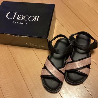 チャコット(CHACOTT)の新品/チャコット/バランス/スポーツ/サンダル/スポサン(ダンス/バレエ)