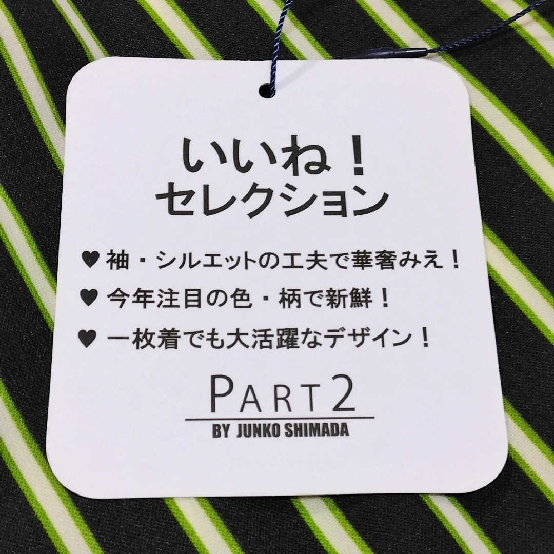 JUNKO SHIMADA(ジュンコシマダ)の新品 ✿ ジュンコシマダ バックレースアップ ストライプ トップス L 黒 緑 レディースのトップス(カットソー(長袖/七分))の商品写真