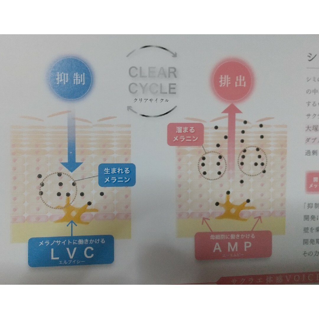 大塚製薬(オオツカセイヤク)の大塚製薬 シミ対策美容液サクラエ コスメ/美容のスキンケア/基礎化粧品(美容液)の商品写真