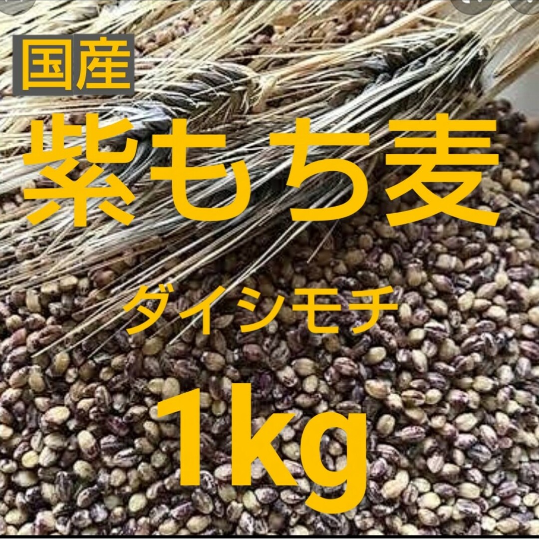 もち麦1kg 食品/飲料/酒の食品(米/穀物)の商品写真