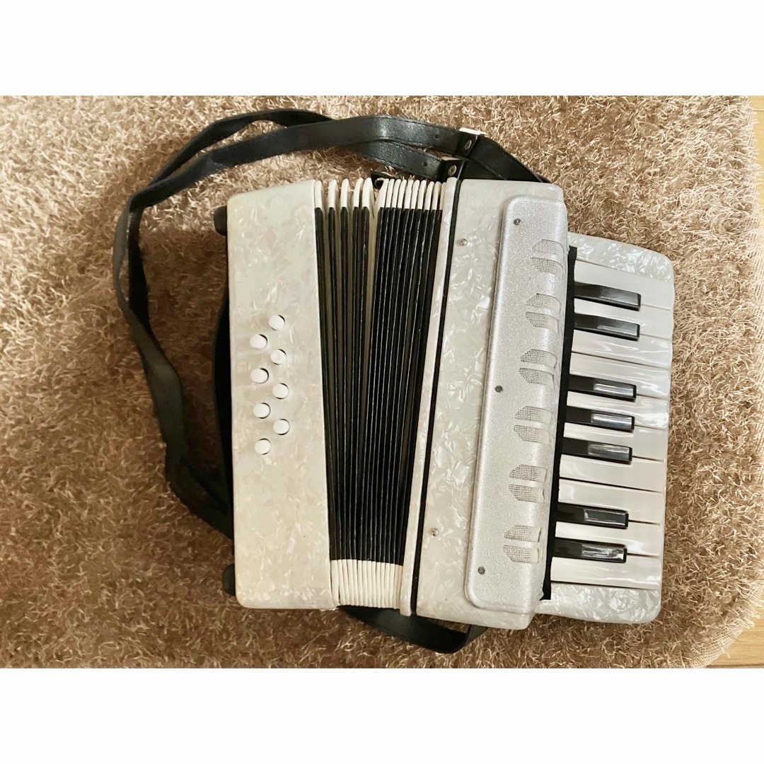 ミニアコーディオンの通販 by Mu|ラクマ