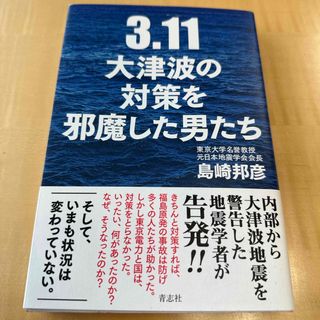 ３．１１大津波の対策を邪魔した男たち(文学/小説)