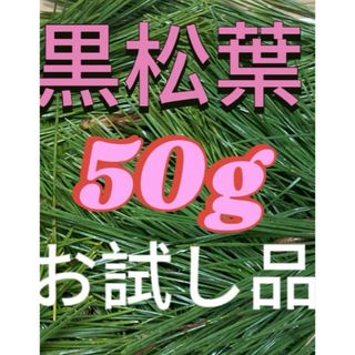 即購入可　即日発送　岡山県　黒松　枝付き松葉　生葉　無農薬　松の葉(野菜)