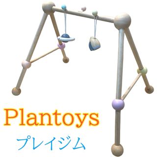 プラントイ(PLANTOYS)のプラントイジャパン　プラントイズ　プレイジム 赤ちゃん　知育玩具 (知育玩具)