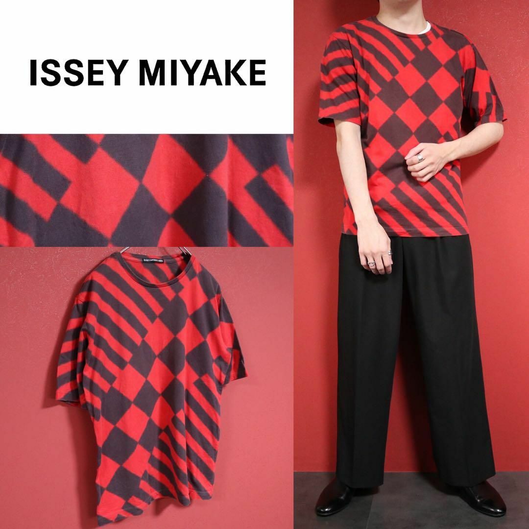 ISSEY MIYAKE(イッセイミヤケ)の【極希少】ISSEY MIYAKE MEN ストライプ＆チェック 総柄 Tシャツ メンズのトップス(Tシャツ/カットソー(半袖/袖なし))の商品写真