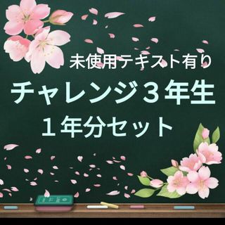 チャレンジ　3年生　ベネッセ　こどもちゃれんじ　知育　学習　本　 ポスター(知育玩具)