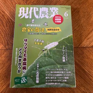 現代農業 2022年 06月号 [雑誌](専門誌)