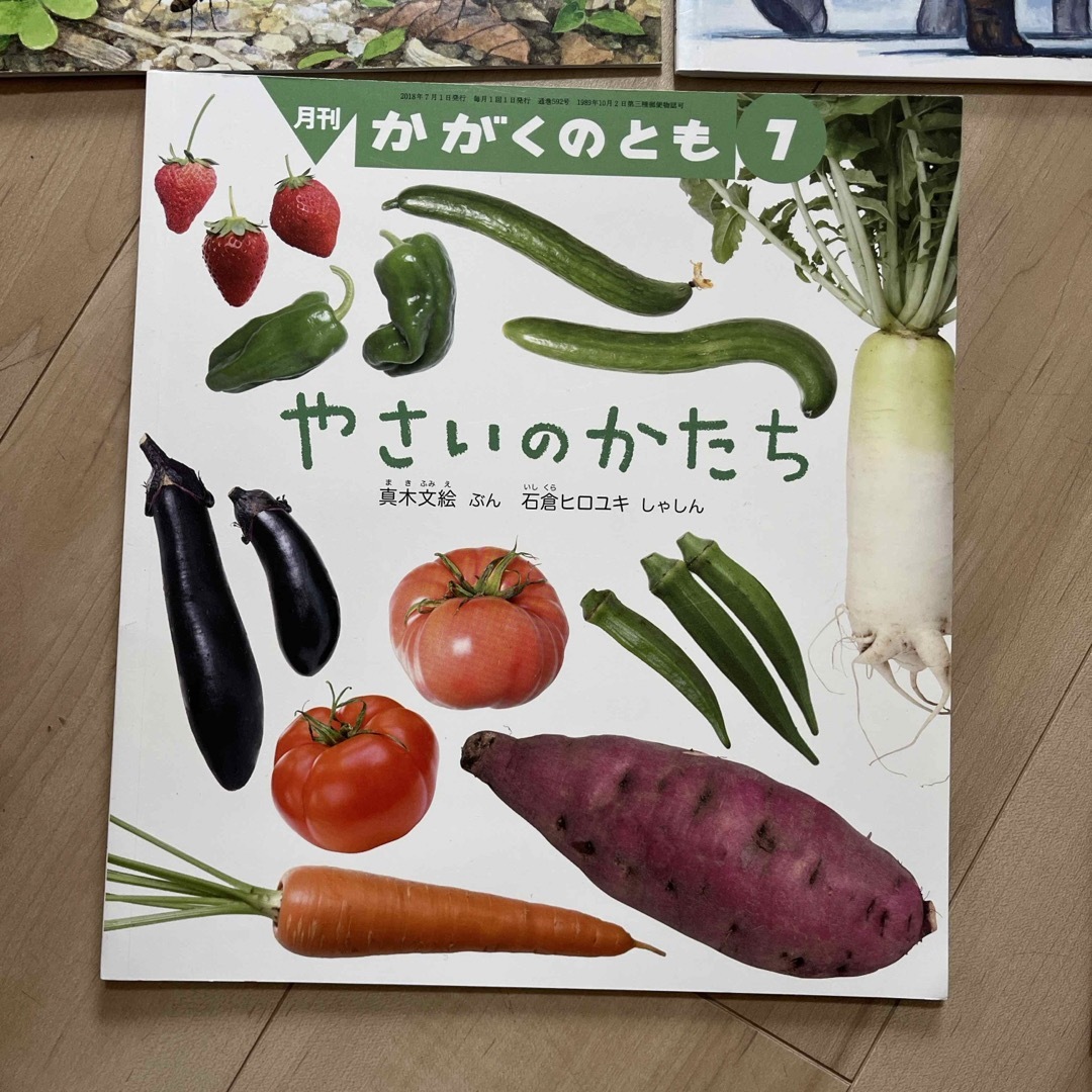 福音館書店(フクインカンショテン)の月刊かがくのとも　６冊セット エンタメ/ホビーの本(絵本/児童書)の商品写真