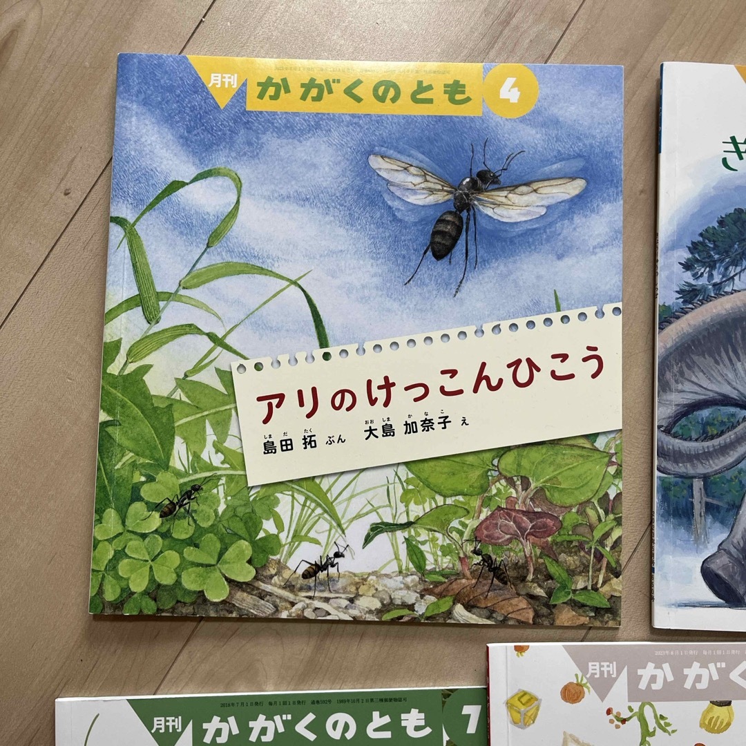 福音館書店(フクインカンショテン)の月刊かがくのとも　６冊セット エンタメ/ホビーの本(絵本/児童書)の商品写真