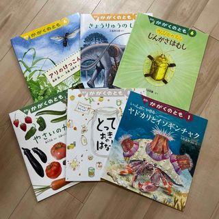 フクインカンショテン(福音館書店)の月刊かがくのとも　６冊セット(絵本/児童書)