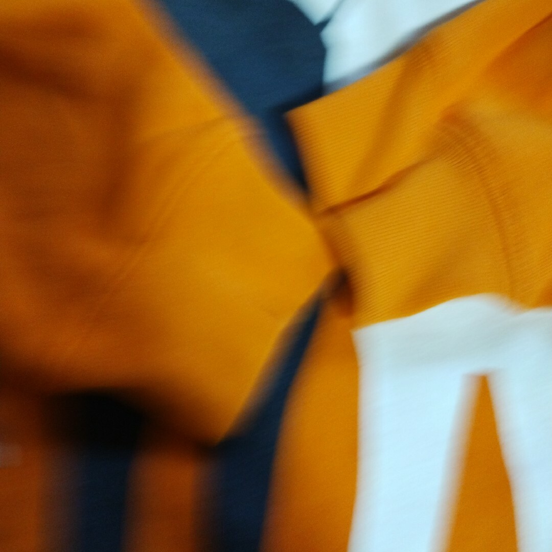 アニマルスウェット　ネコ　猫　肉厚　古着　裏毛　春カラー　ユナイテッドアスレ レディースのトップス(トレーナー/スウェット)の商品写真