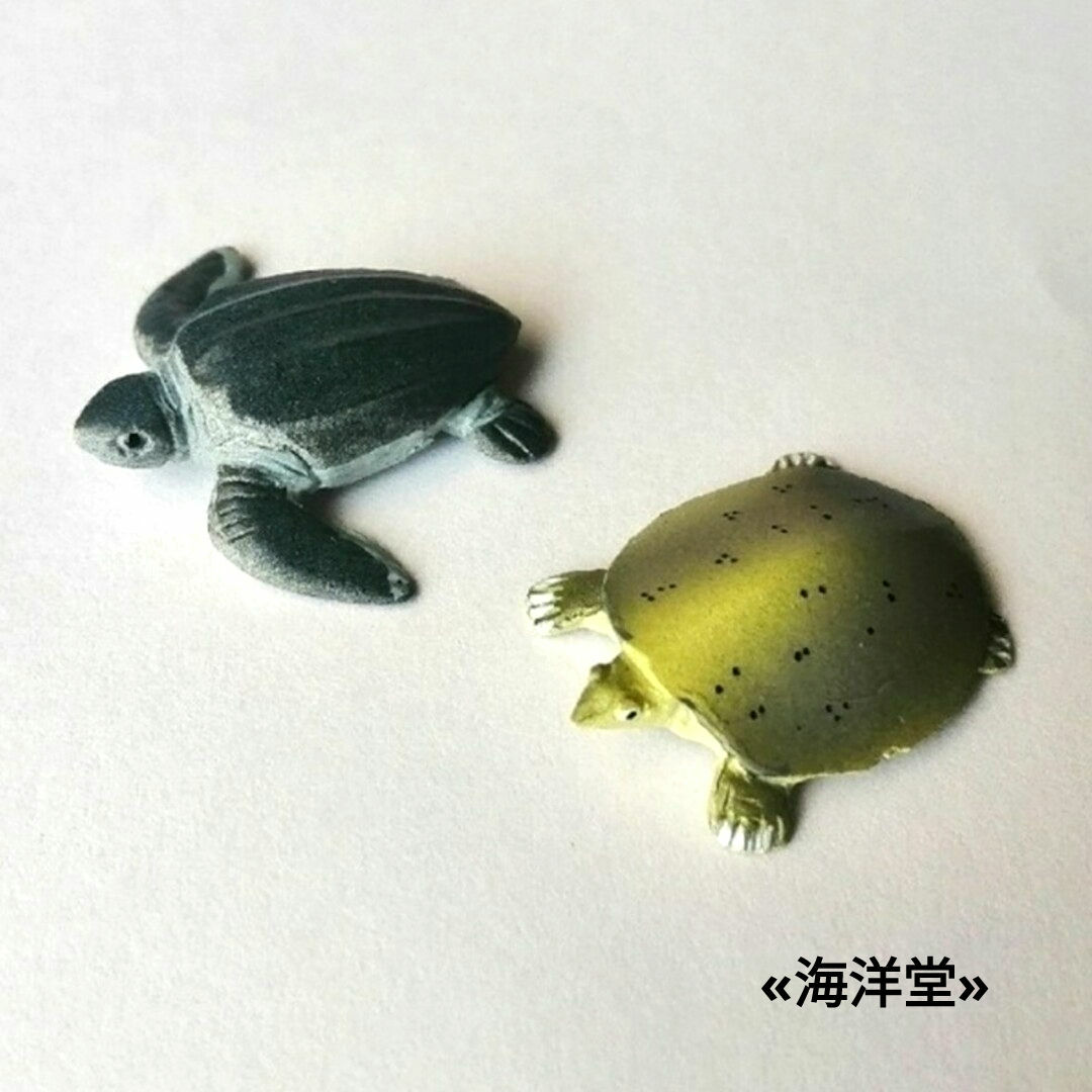 海洋堂(カイヨウドウ)の🉐🐢【2種セット】オサガメ&スッポン　亀フィギュア エンタメ/ホビーのフィギュア(その他)の商品写真