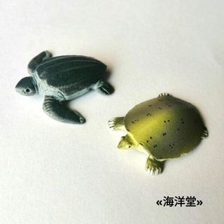 海洋堂 - 🉐🐢【2種セット】オサガメ&スッポン　亀フィギュア