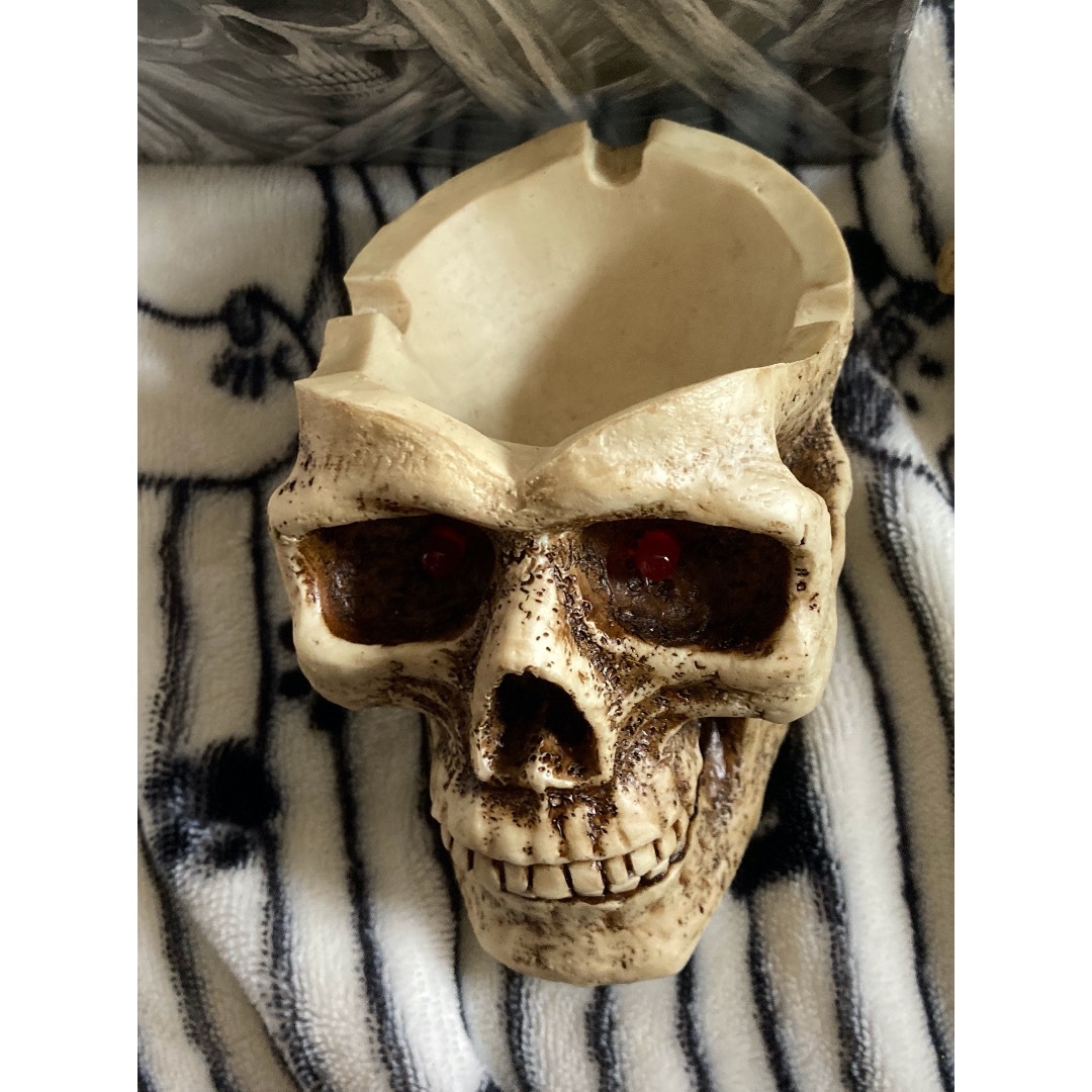 新品未使用元箱付 ヘッドが外れるスカルガイコツ/骸骨/ドクロ 新品未使用元箱付 ヘッドが外れるスカルガイコツ/骸骨/ドクロ