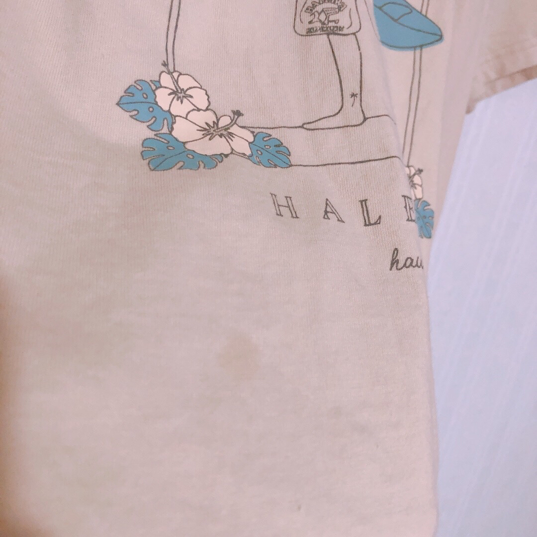 HALEIWA(ハレイワ)のハレイワ　tシャツ　ベージュ　サーフィン　ハワイ　可愛い　夏 Hawaii レディースのトップス(Tシャツ(半袖/袖なし))の商品写真