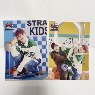 Stray Kids ラントレ toy ペンミ バンチャン ハン(K-POP/アジア)