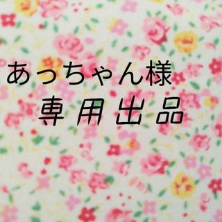 あっちゃん様専用　移動ポケット2点　クリップ付き　送料込み(外出用品)