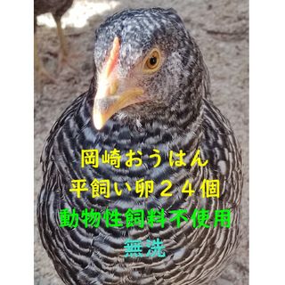 岡崎おうはん　平飼いたまご　24個　無洗(その他)