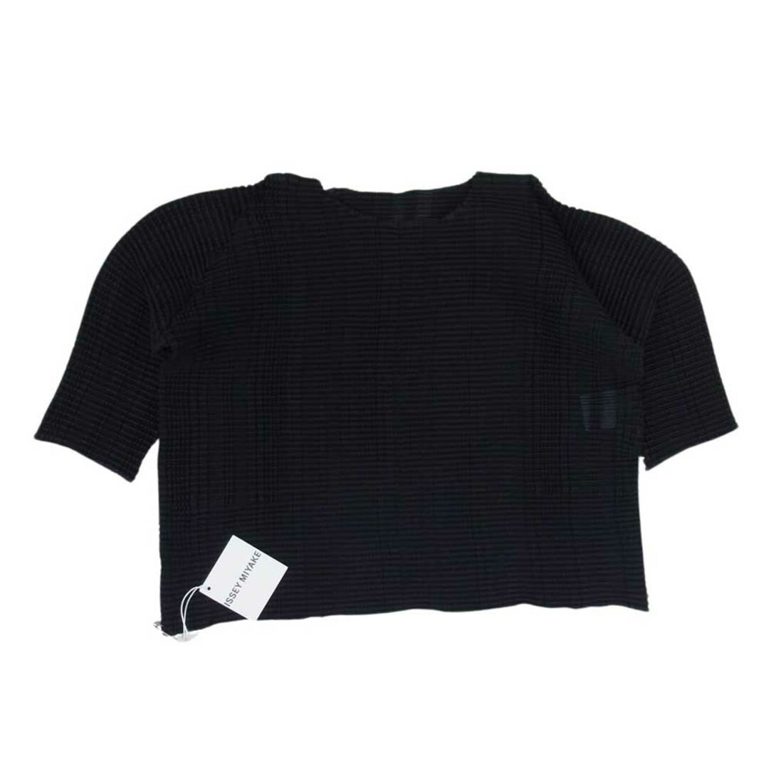 ISSEY MIYAKE(イッセイミヤケ)のISSEY MIYAKE イッセイミヤケ 23SS IM31FJ61215 STRIPE LIKE PLEATS ストライプ プリーツ Tシャツ カットソー トップス ブラック系 2【新古品】【未使用】【中古】 レディースのトップス(シャツ/ブラウス(半袖/袖なし))の商品写真