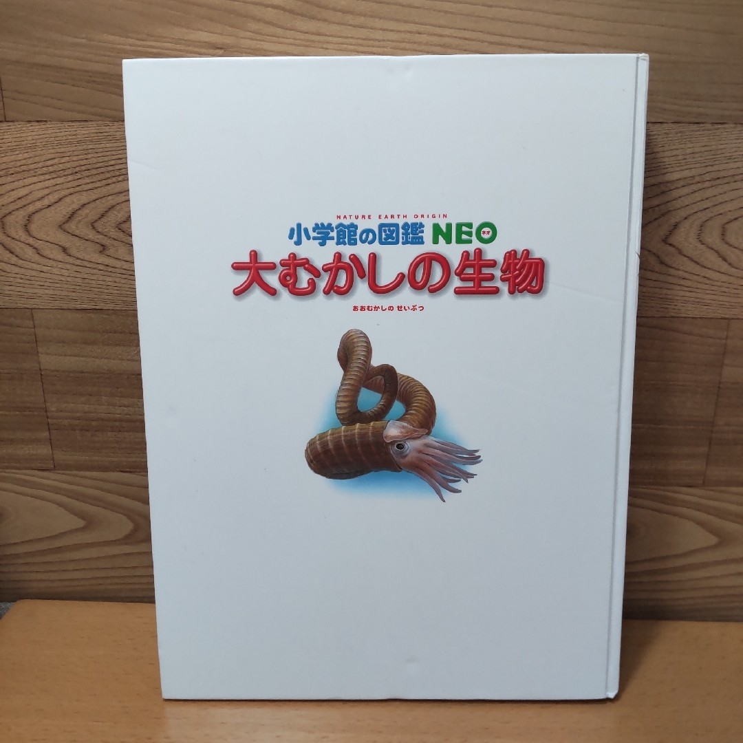 小学館(ショウガクカン)の【小学館の図鑑 NEO　大むかしの生物】小学館　図鑑　平野弘道、日本古生物学会 エンタメ/ホビーの本(絵本/児童書)の商品写真