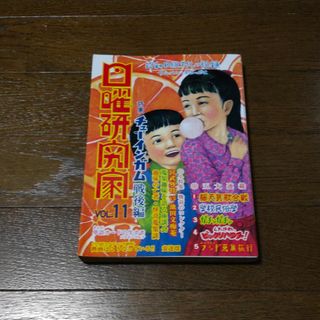 日曜研究家vol.11(その他)