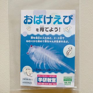 ガッケン(学研)のおばけえびを育てよう！(知育玩具)