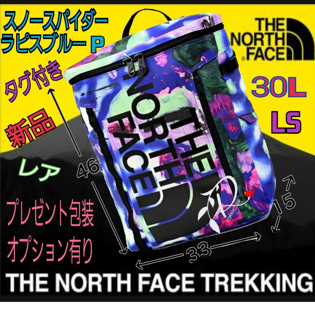 THE NORTH FACE(ザノースフェイス)のノースフェイス　BCヒューズボックス LS ラピスブルースノースパイダーラージP メンズのバッグ(バッグパック/リュック)の商品写真