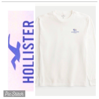 ホリスター(Hollister)の◎XXL◎新品正規品◎ホリスター◎HOLLISTER ◎ロングTシャツ◎送料込(Tシャツ/カットソー(七分/長袖))