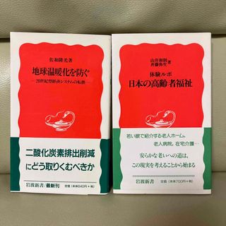 地球温暖化を防ぐ 20世紀型経済システムの転換 岩波新書 新赤版(人文/社会)